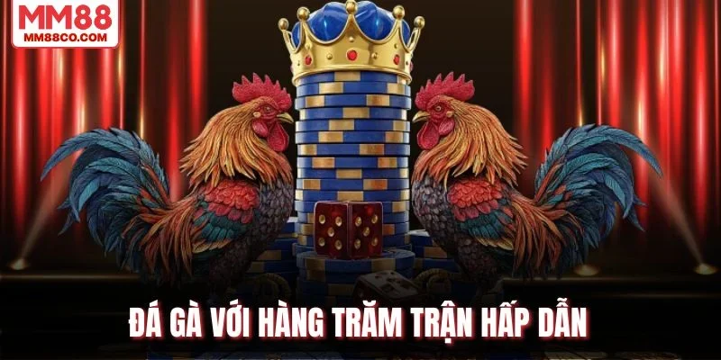 Đá gà với hàng trăm trận hấp dẫn