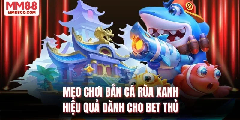 Mẹo chơi Bắn Cá Rùa Xanh hiệu quả dành cho bet thủ